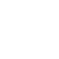 ico_prim_w