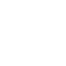 ico_prim_w